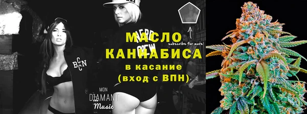 гидра Горно-Алтайск